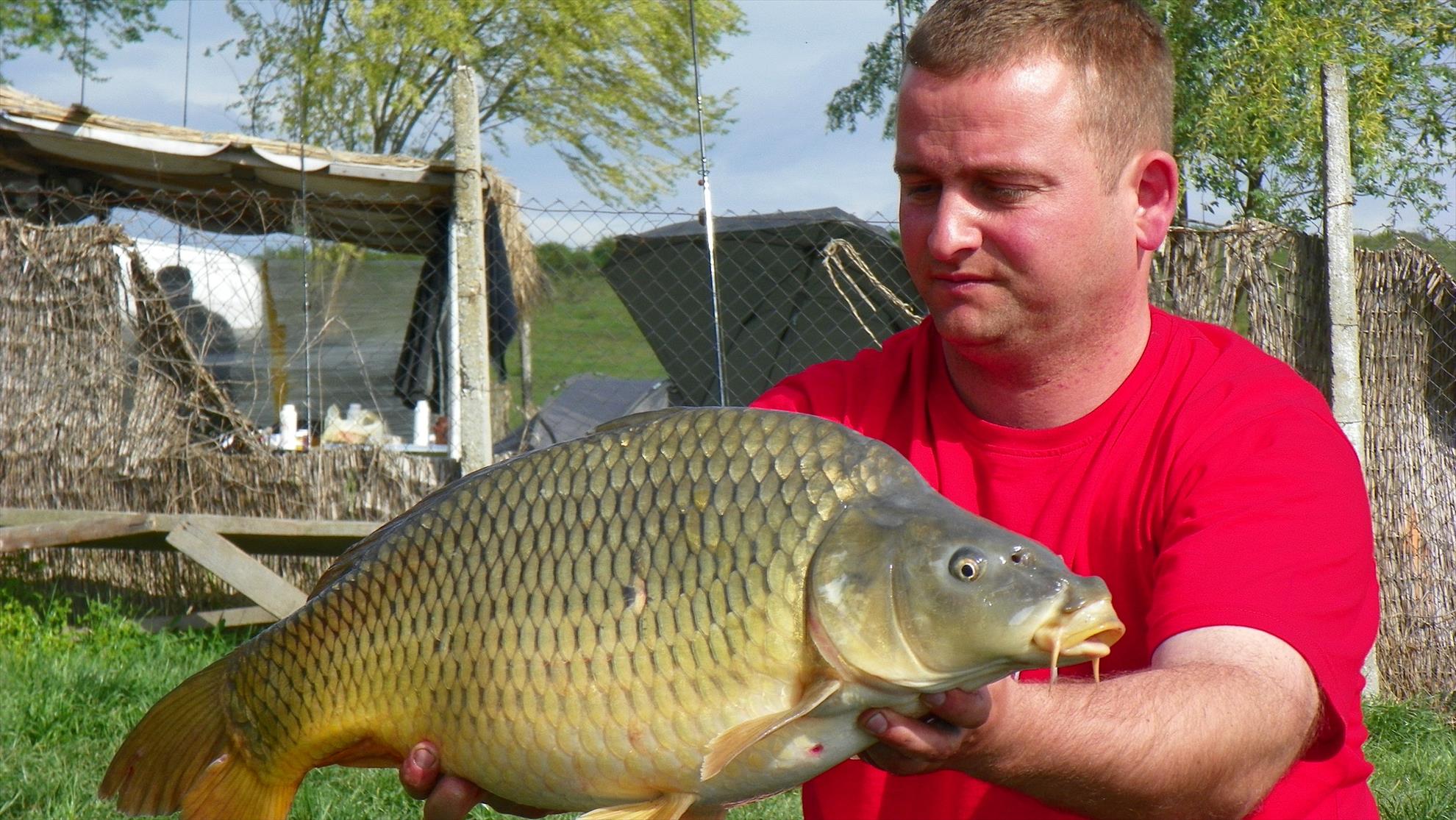 Party Cup 2011 -Greaca Cercani - party-cup-46.JPG